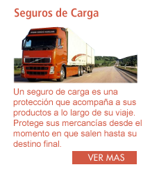 seguros de carga chico